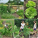 LamaisGarden2010-002