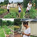 LamaisGarden2010-003