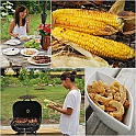 LamaisGarden2010-007