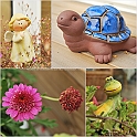LamaisGarden2010-008