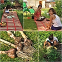 LamaisGarden2010-011