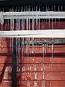 DSCN9565