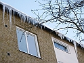 Kobjer-lund-07