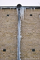 Kobjer-lund-10