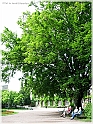 DSCN9120