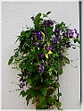 DSCN9127