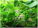 DSCN9140