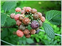 DSCN9147
