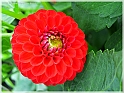 DSCN9160