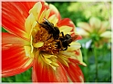 DSCN9162