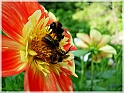 DSCN9164