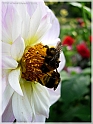 DSCN9176