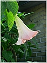 DSCN9182