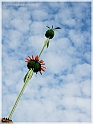 DSCN9193