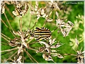 DSCN9194