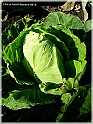 DSCN9208