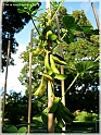 DSCN9210