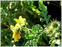 DSCN9218