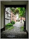 DSCN9241