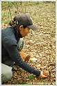 Mushrooms20082010-012