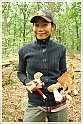 Mushrooms20082010-017