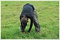 Mushrooms20082010-057