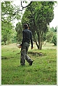 Mushrooms20082010-098