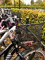 DSC01450