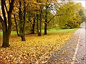 DSC01721