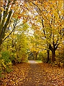DSC01732