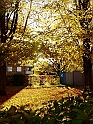 skolan13