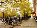 skolan29