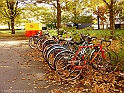 skolan9