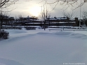 20101202426