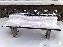 20101210461