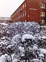 20101216495