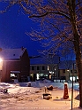 20101217506