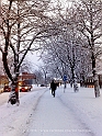 20101217511