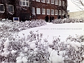 20101217515
