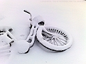 20101217525
