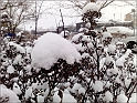 snowAdventure2010-p14
