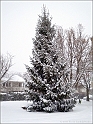 snowAdventure2010-p15