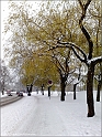 snowAdventure2010-p26