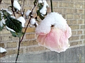 snowAdventure2010-p38