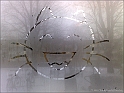snowAdventure2010-p58