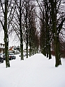 DSCN9332