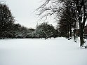 DSCN9334
