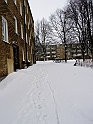 DSCN9342