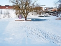 DSCN9611