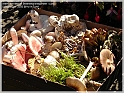 DSC00150